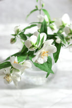 Load image into Gallery viewer, Desert Nights