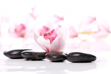 Load image into Gallery viewer, Hotel Bliss